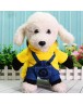 Novelty Cartoon Dogs Cats Hoodies Outfit Pet Standing Costume Clothes